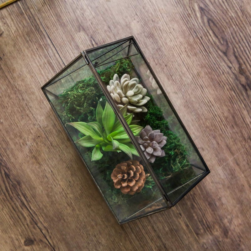 Levilan House Shape Close Glass Geometric Terrarium Tabletop Succulent Plant House Garden Planter Moss Fern Swing Lid, Flower Pot for Plants Succulent, Air Plant (Black) - Image 5